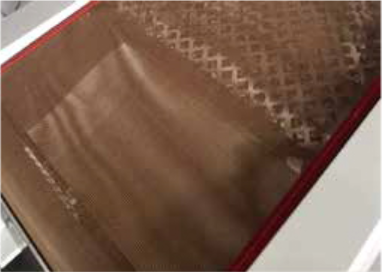 微信图片_20251224102307_1632_253